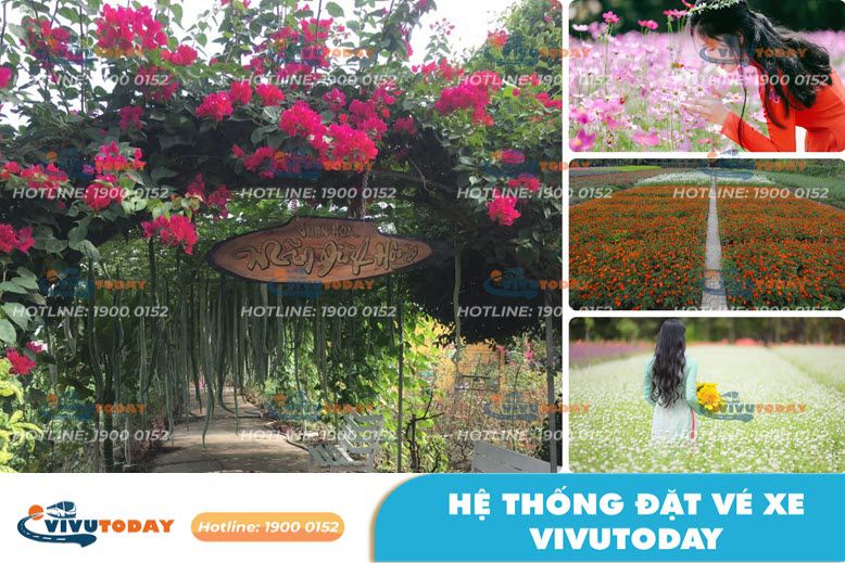 Vườn hoa Mãn Đình Hồng - Tiền Giang