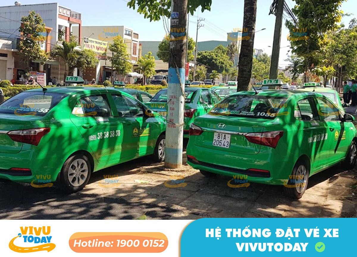 Dịch vụ Taxi Mai Linh tại Gia Lai