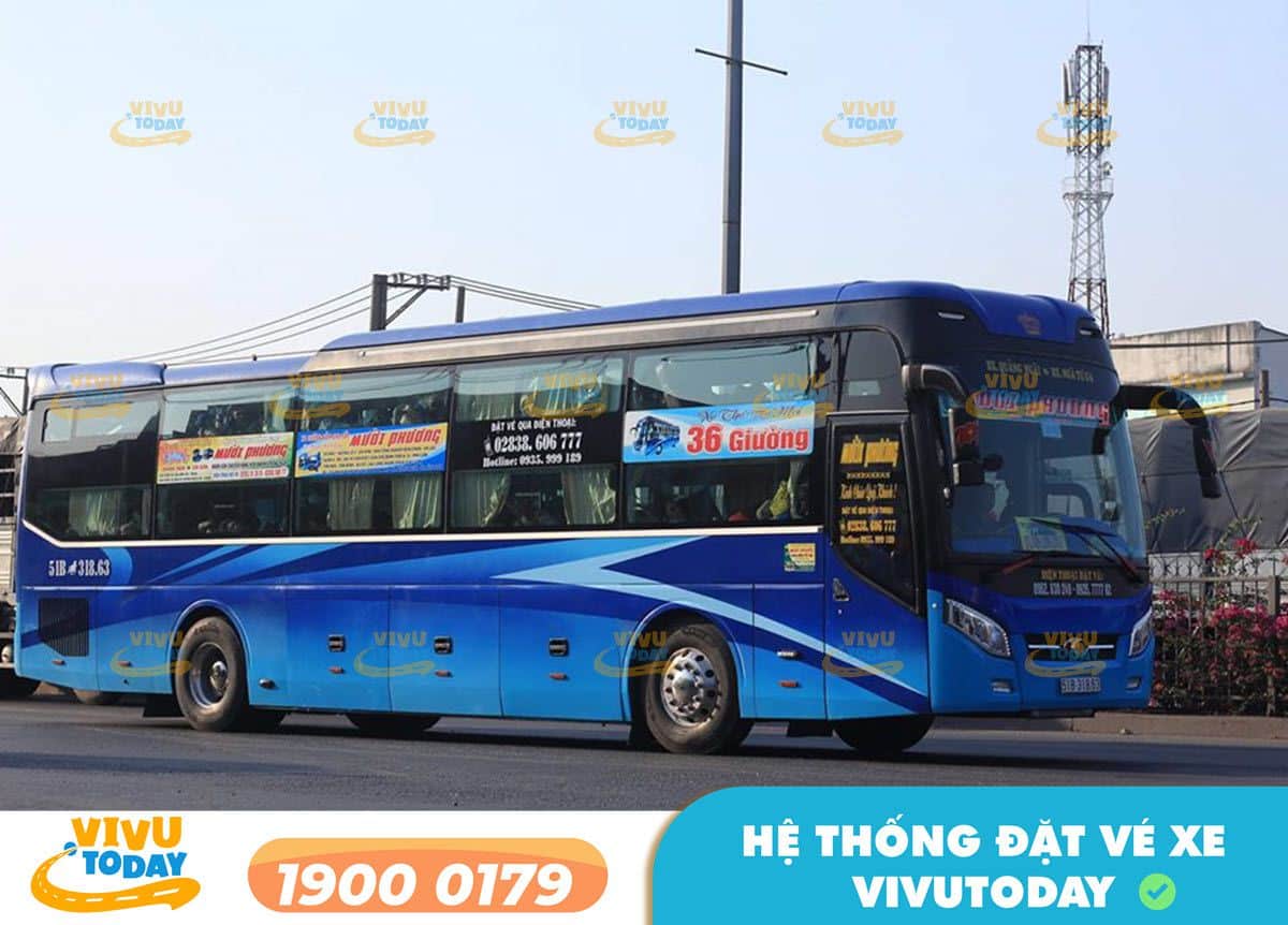 Xe khách Mười Phương đi Sài Gòn từ Phù Mỹ - Bình Định