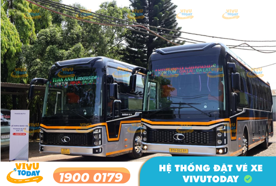Nhà xe Tuấn Anh tuyến Buôn Ma Thuột Đắk Lắk đi Đà Lạt Lâm Đồng