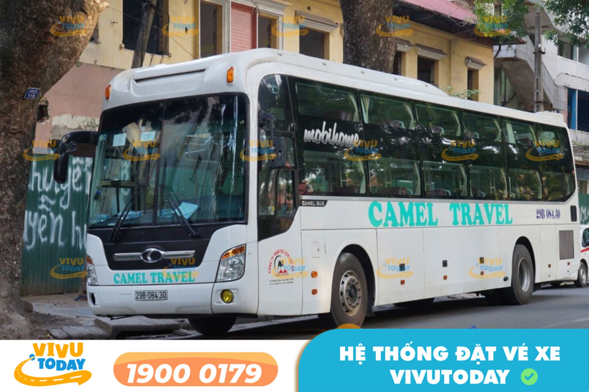 Nhà xe Camel Travel tuyến Vinh Nghệ An đi Quảng Bình