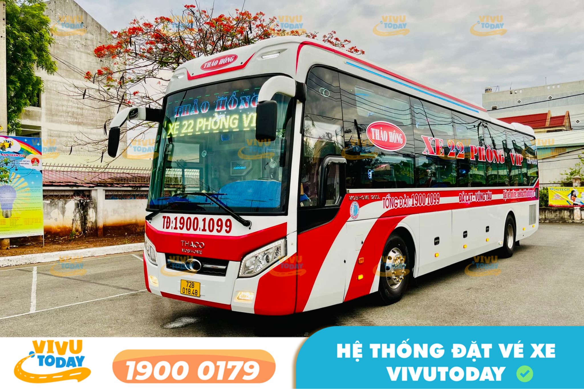 Nhà xe Thảo Hồng tuyến Vũng Tàu đi Đà Lạt Lâm Đồng